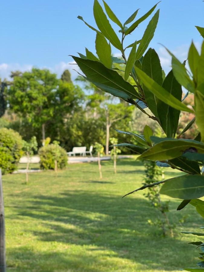 La Maison Des Lonnes Acomodação com café da manhã Châteaurenard Exterior foto